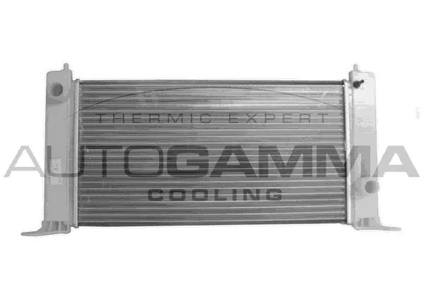 Radiator, engine cooling (103053)