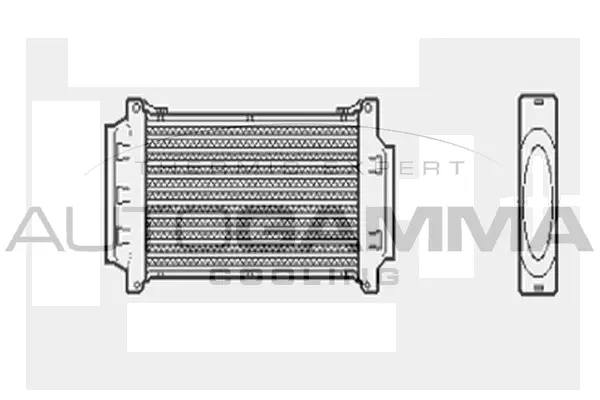 Charge Air Cooler (103203)