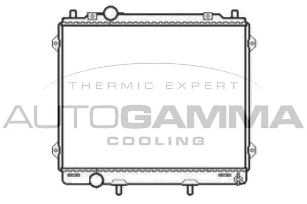 Radiator, engine cooling (104079)