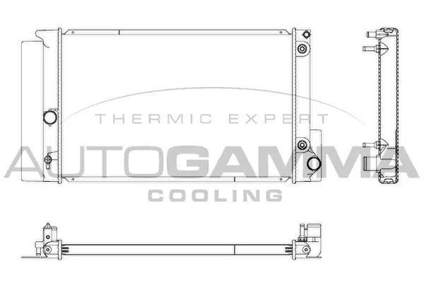Radiator, engine cooling (107272)