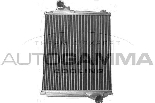 Charge Air Cooler (405504)