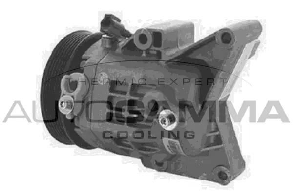 Compressor, air conditioning (118665)