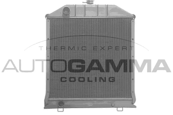 Radiator, engine cooling (400392)