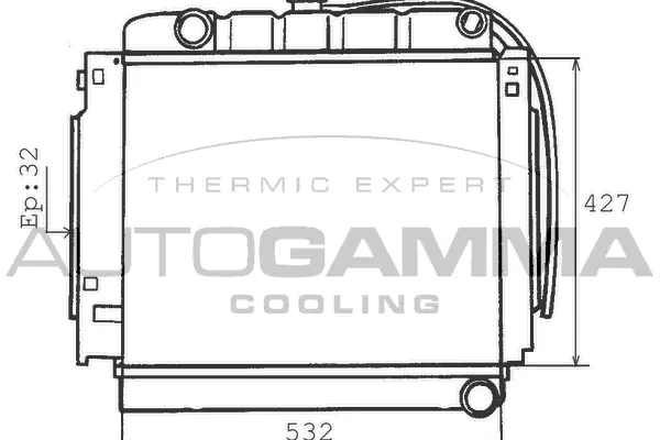 Radiator, engine cooling (100528)