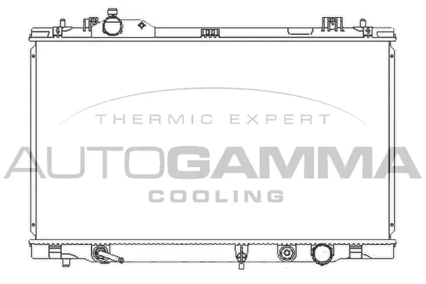 Radiator, engine cooling (107961)