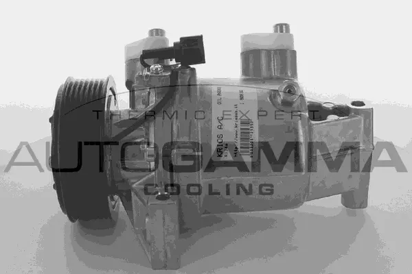 Compressor, air conditioning (108998)