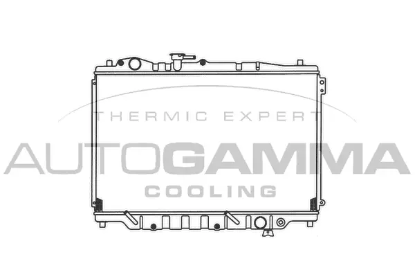 Radiator, engine cooling (100502)