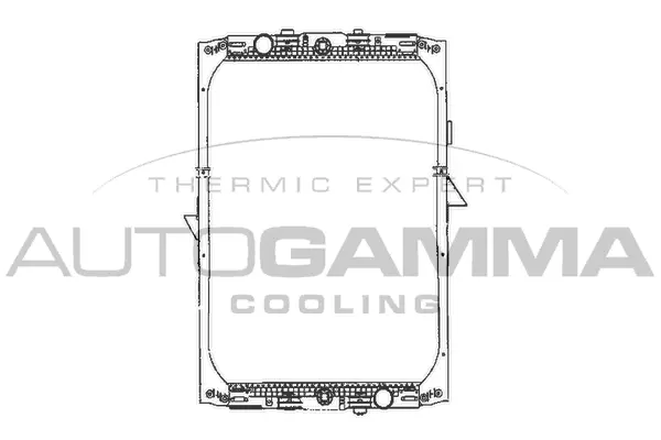 Radiator, engine cooling (401124)