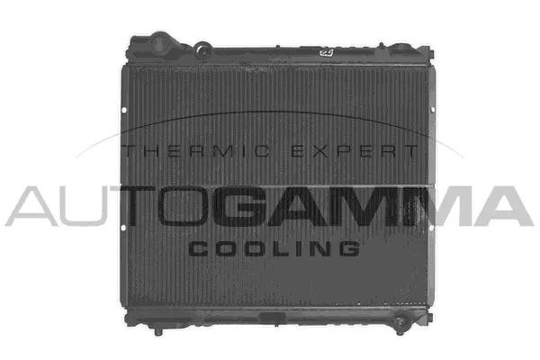 Radiator, engine cooling (101267)
