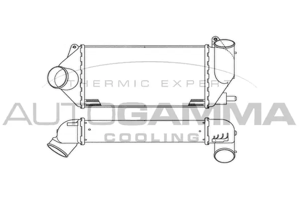 Charge Air Cooler (101921)