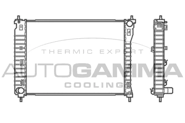 Radiator, engine cooling (105043)