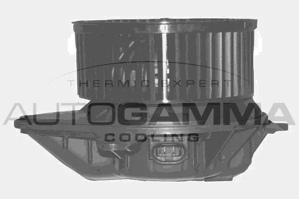 Interior Blower (GA20343)