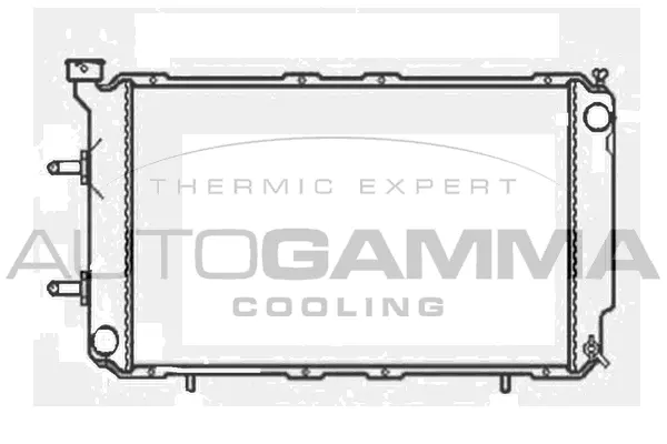 Radiator, engine cooling (102312)