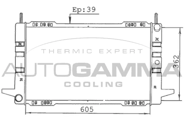 Radiator, engine cooling (100365)