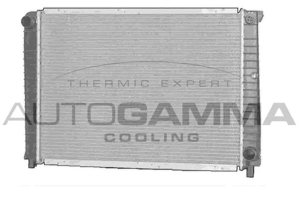 Radiator, engine cooling (102385)