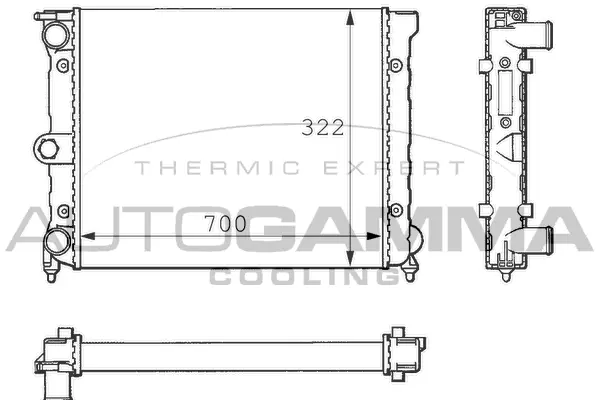 Radiator, engine cooling (101066)