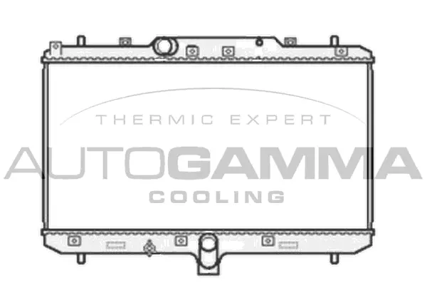 Radiator, engine cooling (104825)