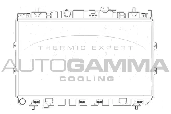 Radiator, engine cooling (104474)
