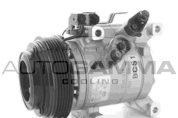 Compressor, air conditioning (118493)