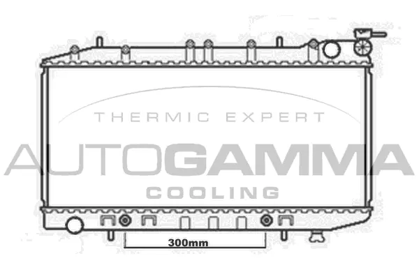 Radiator, engine cooling (102212)