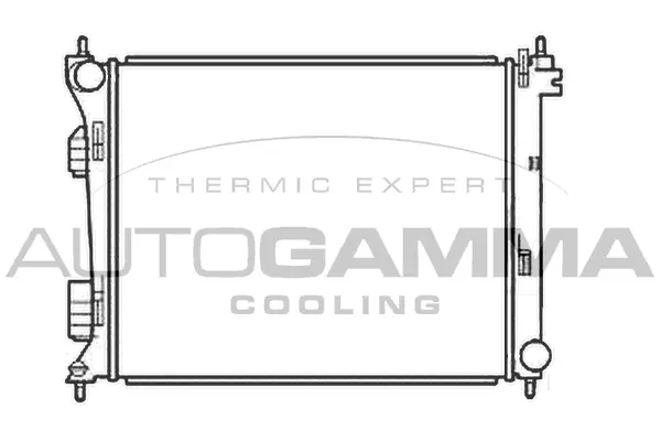Radiator, engine cooling (107069)
