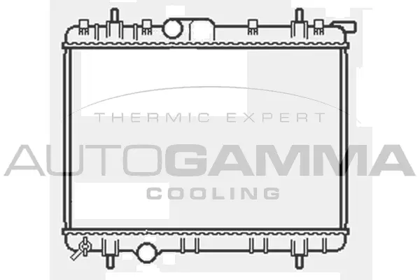 Radiator, engine cooling (103378)