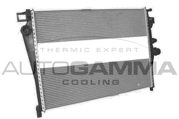 Radiator, engine cooling (107815)