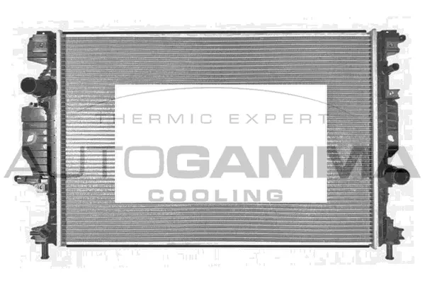 Radiator, engine cooling (107766)