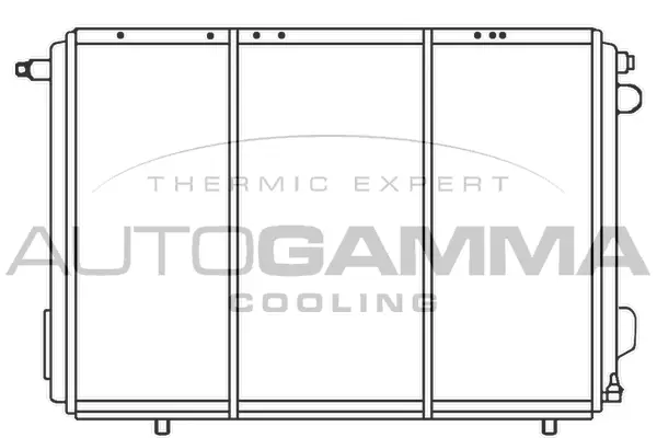 Radiator, engine cooling (100034)