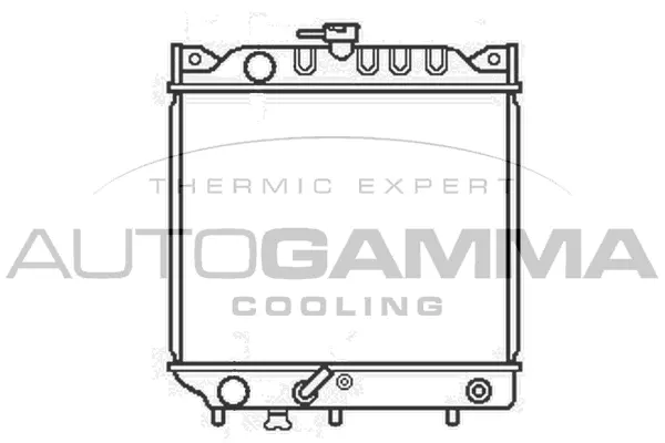Radiator, engine cooling (102329)
