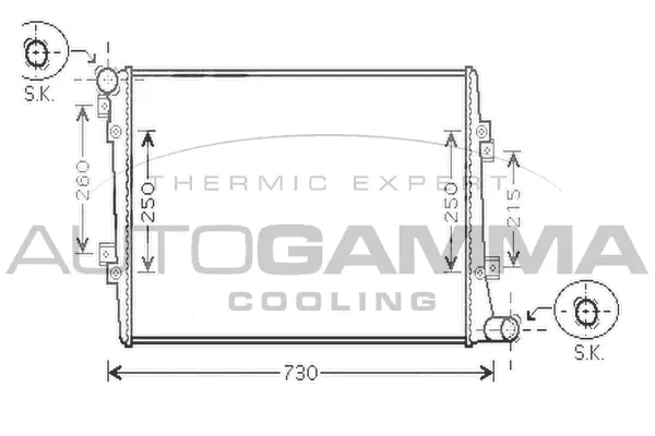 Radiator, engine cooling (104245)