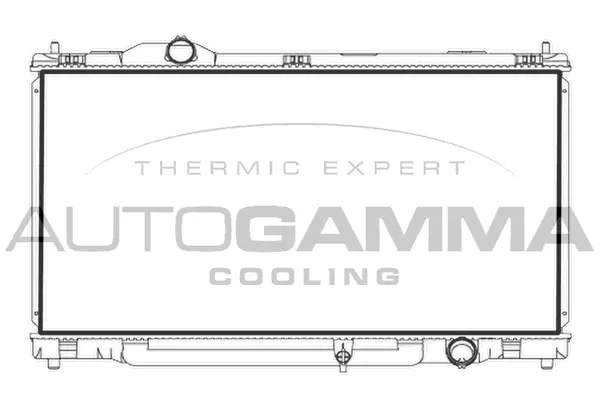 Radiator, engine cooling (107962)