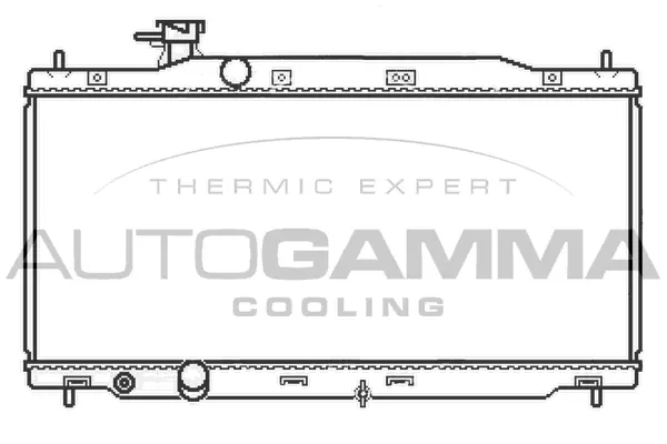 Radiator, engine cooling (107953)