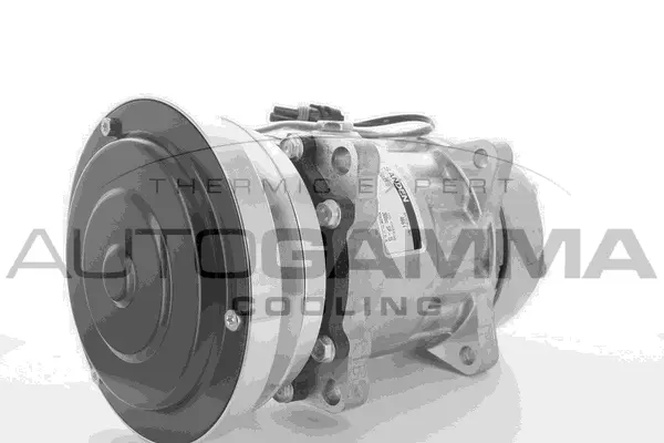 Compressor, air conditioning (118473)