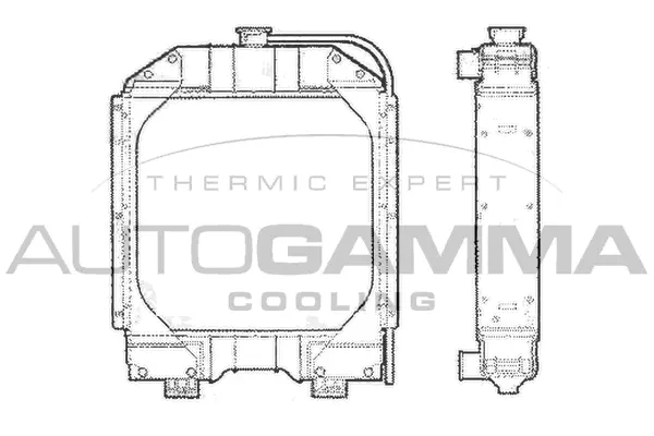 Radiator, engine cooling (400388)