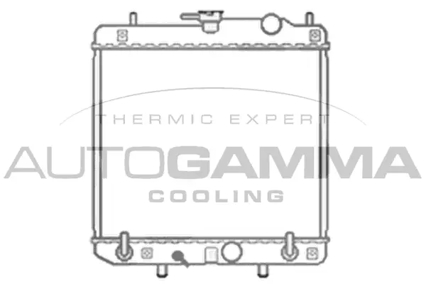 Radiator, engine cooling (103791)