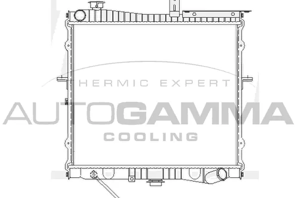 Radiator, engine cooling (104139)