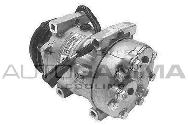 Compressor, air conditioning (108448)
