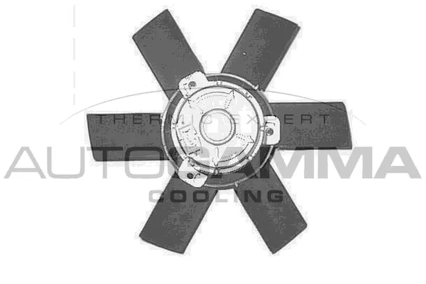 Fan, engine cooling (GA200413)