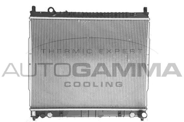 Radiator, engine cooling (107949)
