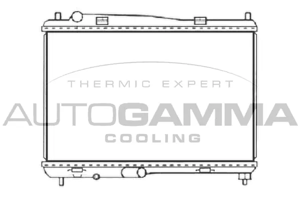 Radiator, engine cooling (107415)