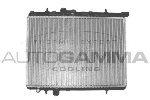 Radiator, engine cooling (101232)