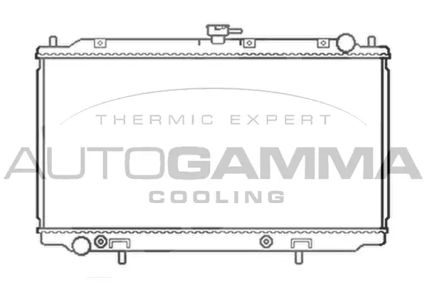 Radiator, engine cooling (103500)