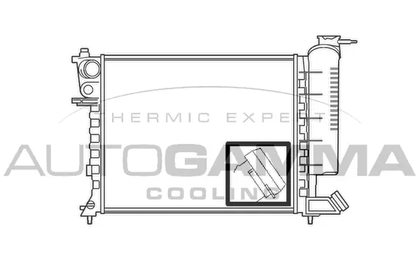 Radiator, engine cooling (100213)