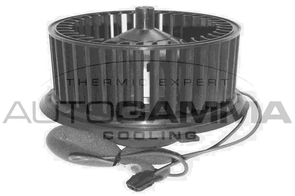 Interior Blower (GA31000)