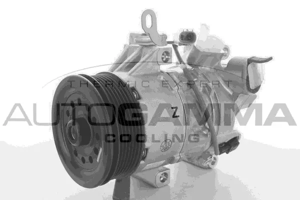 Compressor, air conditioning (118420)