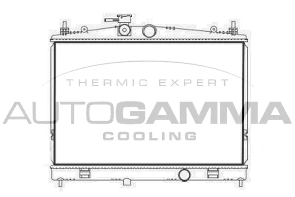 Radiator, engine cooling (107727)