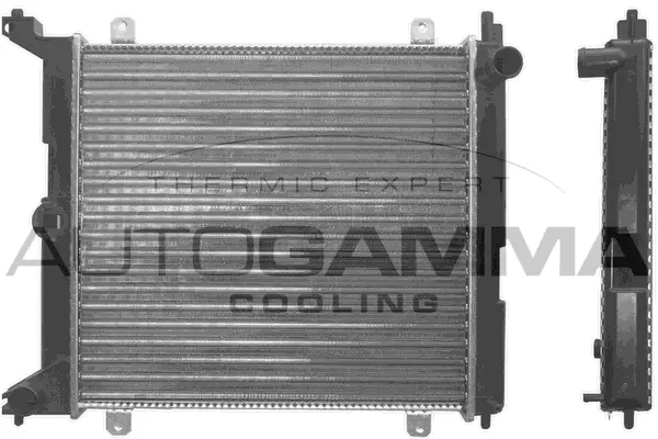 Radiator, engine cooling (100423)