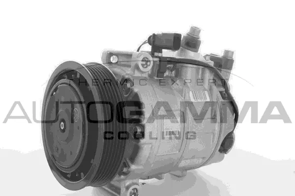 Compressor, air conditioning (118536)
