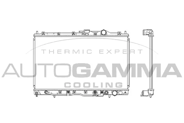 Radiator, engine cooling (101133)